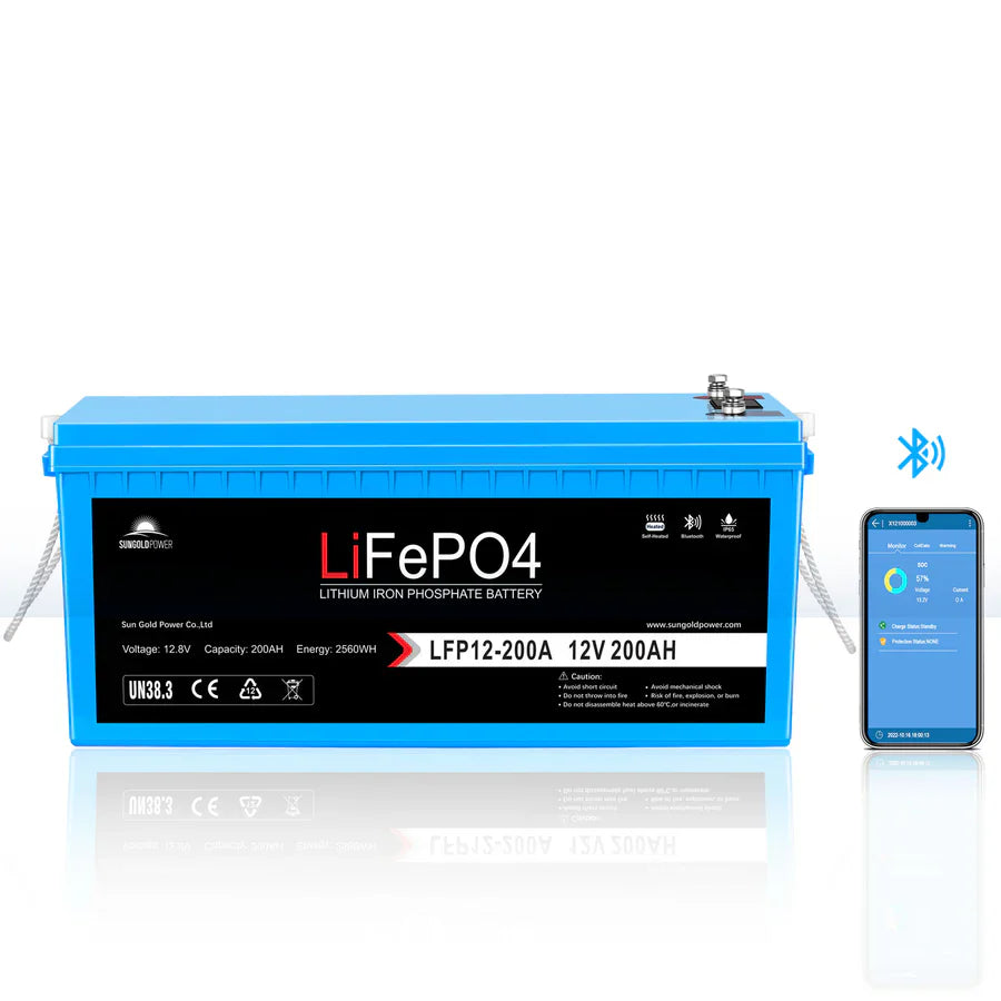 SunGoldPower 2000W DC 12V Pure Sine Wave Inverter With Charger