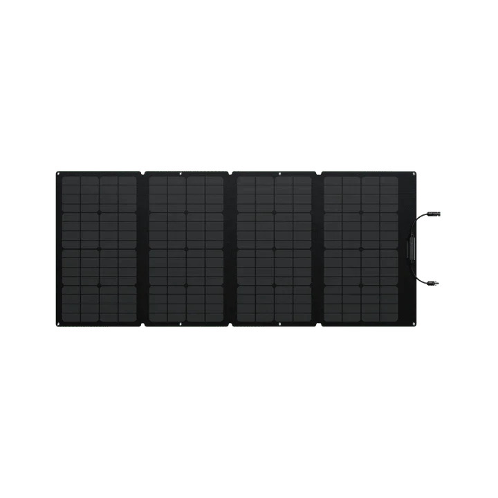 EcoFlow DELTA 2 Max + 160W Portable Solar Panel