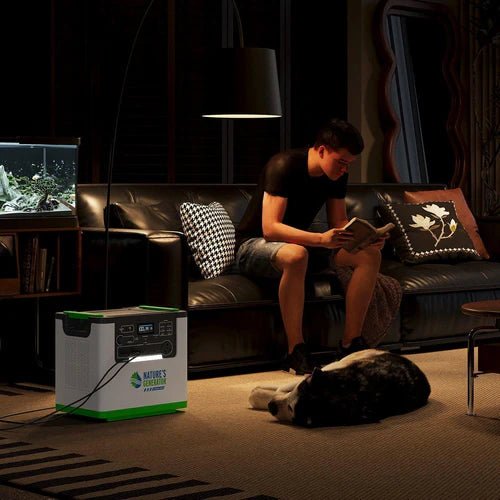 Natures Generator Lithium 3600 With 6 Circuit Transfer Switch